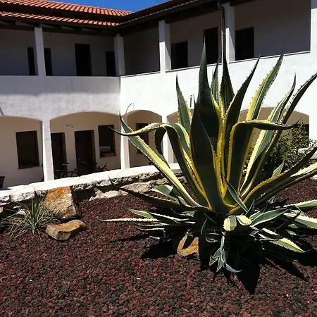Agave 2* Fertilia