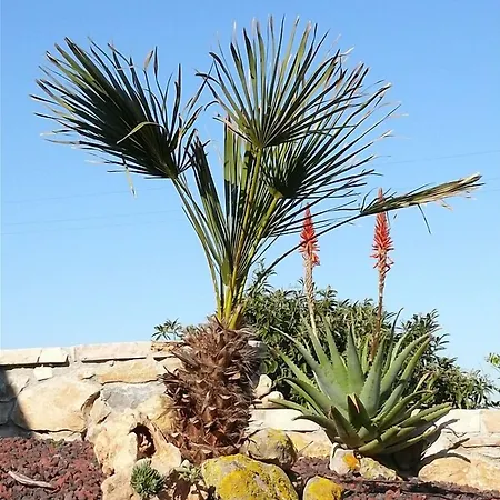 Agave Hotel 2*