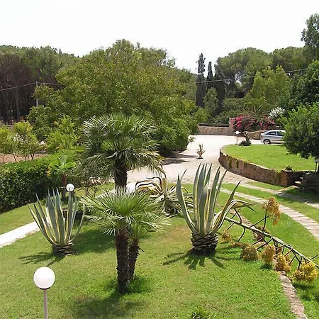 Agave Fertilia