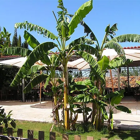 מלון Agave 2*
