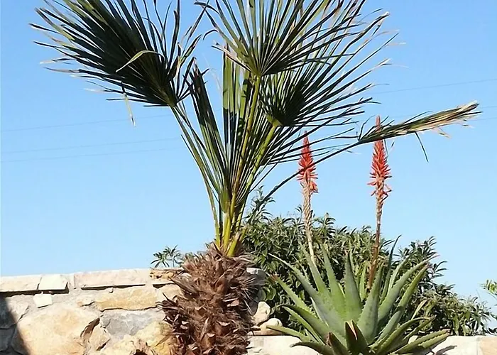 Agave Hotel 2*